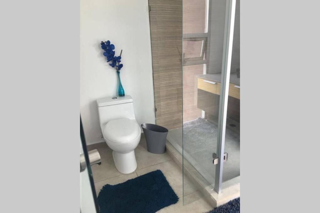 Espectacular Loft En Ph Zona Polanco D Appartement Mexico